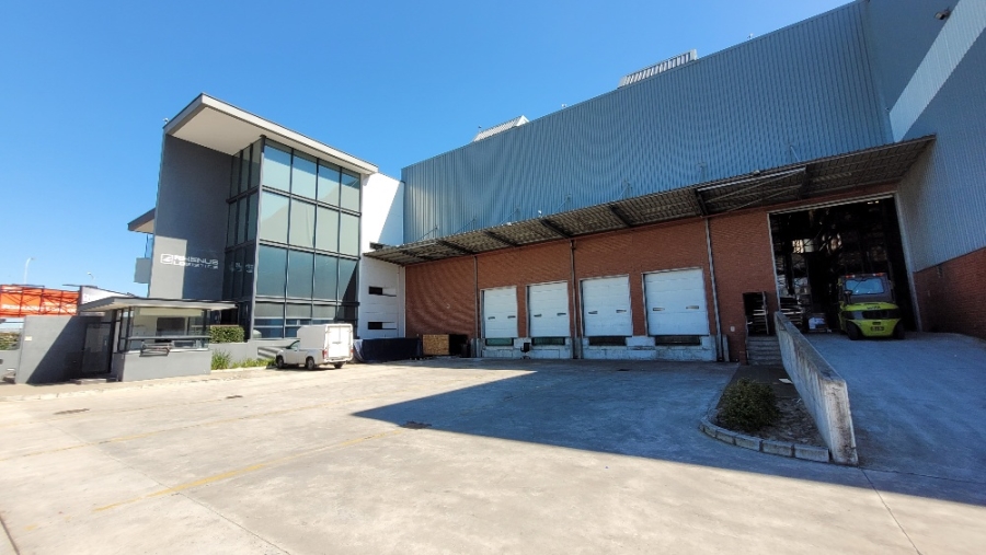 To Let commercial Property for Rent in Airport Industria Western Cape